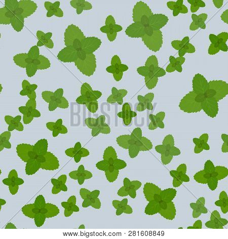 Fresh Green Mint Leaves Isolated On Seamless Pattern
