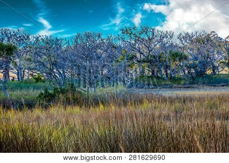 A View Of The Saltwater, Wetland Marsh Near The Coast Of St Simons, Georgia