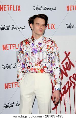 LOS ANGELES - JAN 28:  Charlie Heaton at the 