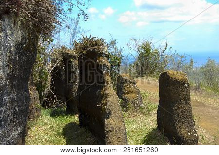 Volcanic Rock - Floreana Island - Galapagos