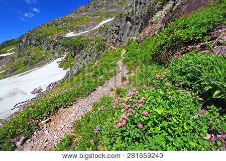 Sperry Glacier Trail In Glacier National Park Of Montana