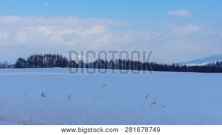 Beautiful Winter Landscape With Powder Snow On A Road In, Hokkaido Japan