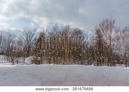Beautiful Winter Landscape With Powder Snow On A Road In, Hokkaido Japan