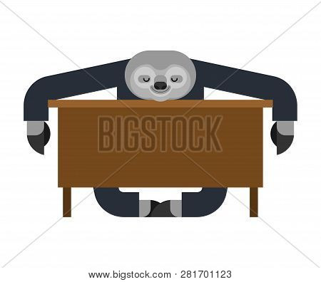 Sloth Sleeping At Work. Lazybones At Table. Animal Cartoon Businessman. Vector Illustration