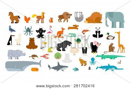 Animals Set. Beast Collection. Cute Cartoon Animal. jungle And Forest Wild Nature. Fauna Of Differen