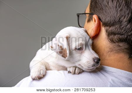 Horizontal Portrait Of Handsome Cheerful Man Holds Jack Russell Terrirer, Has Glad Expression