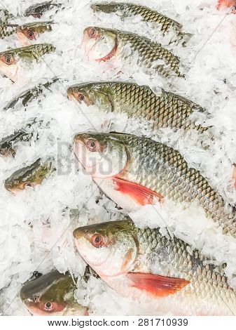 Rohu Fish Fresh In Ice Sell On Market.