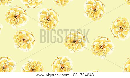 Pastel Roses Or Peony, Floral Seamless Pattern. Watercolor Flowers In Vintage Style. Wedding Print I