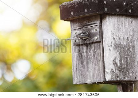 Breeding Time At The Hatchery, Bird Flying In The Nesting Box, Nesting Aid In The Own Garden, Copysp