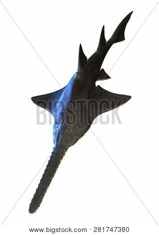 3D Rendering Onchopristis Fish On White