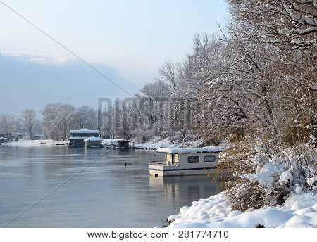 River Danube Environment In Futog In Serbia