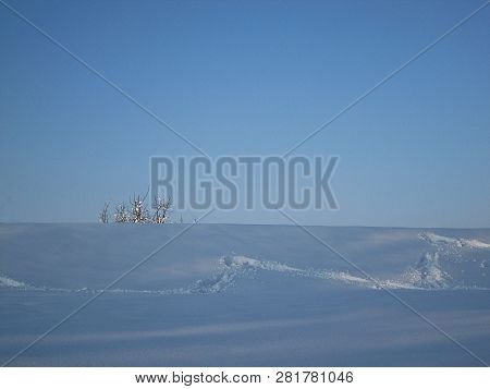 Trail In The Snow In The Winter Freezing Day. River Danube Environment, Futog Serbia