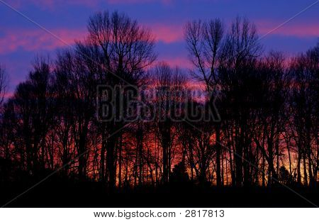 Dsc01371E