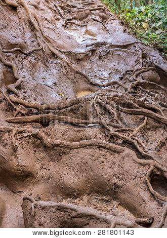 Very Slippery And Muddy Pathway From Princeville To Queens Bath On Coast Of Kauai In Hawaii