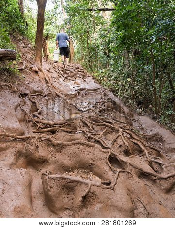 Very Slippery And Muddy Pathway From Princeville To Queens Bath On Coast Of Kauai In Hawaii