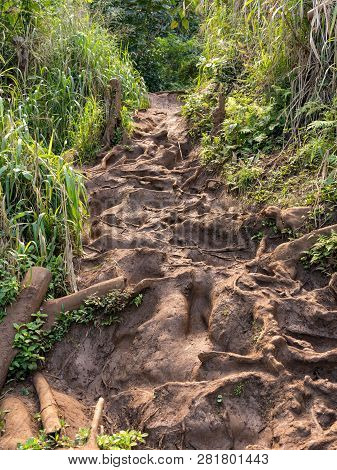 Very Slippery And Muddy Pathway From Princeville To Queens Bath On Coast Of Kauai In Hawaii