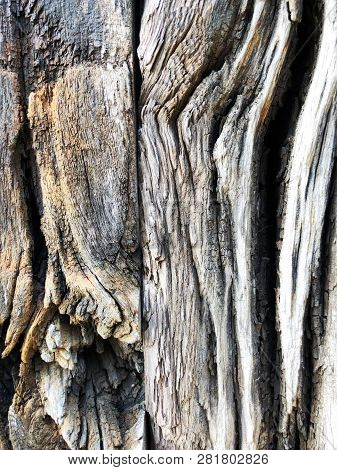 The Structure Of Wooden Fence. Shot From Close View.