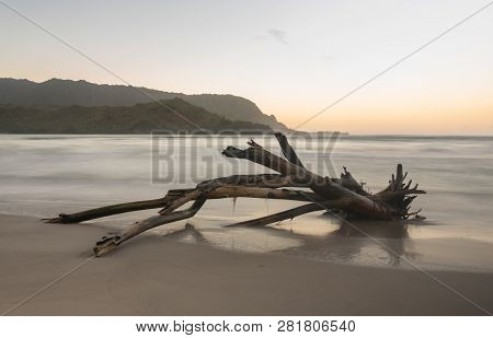 Sunrise Lights Driftwood On Hanalei Bay With The Na Pali Coast In The Background Near Hanalei, Kauai