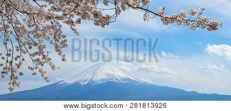 Mount Fuji With Snow Capped, Blue Sky And Beautiful Cherry Blossom Or Pink Sakura Flower Tree In Spr