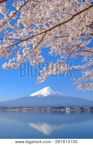 Mount Fuji With Snow Capped, Blue Sky And Beautiful Cherry Blossom Or Pink Sakura Flower Tree In Spr