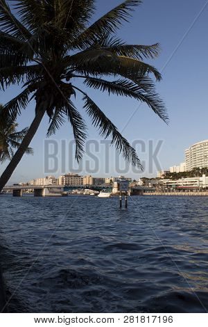 Intercoastal Waterway With Residential Background And Blues Skies And A Palm Tree.