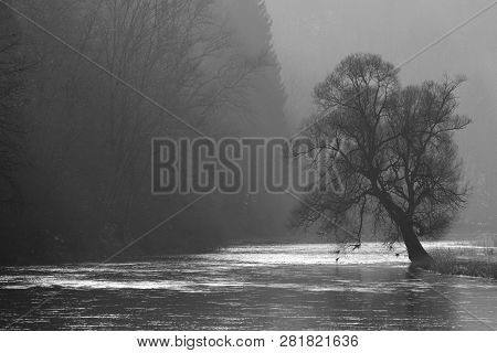 Lone Tree Above Misty Semoy River Near Bouillon City In Ardennes Belgium By Winter Season