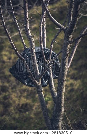 Plastic Trash Bag Stuck On Tree Top. On The Concept Of Environmental Protection, Recycling And Plast