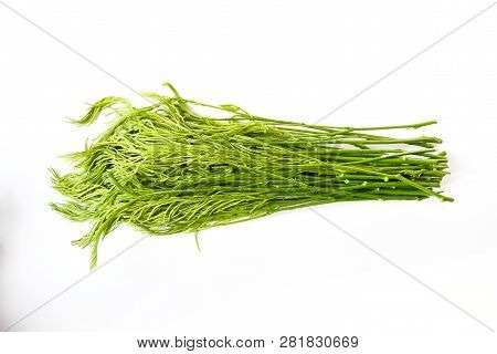 Close Up Raw Freshness Vegetable Acacia Pennata, Or Cha-om In Thai Name ,a Shrub Or Small Tropical T