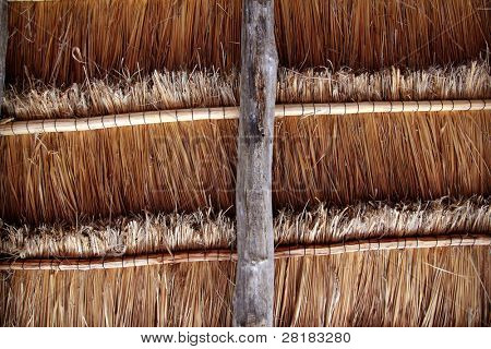 Chata palapa tradiční kabiny slunce střechu wiev shora Mexiko architektura