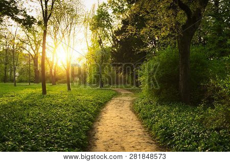 Path On The Park