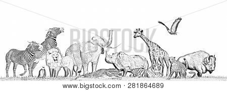 Animals of the Wildernis in grass - Pencil drawing - isolated on white background - 3D illustration