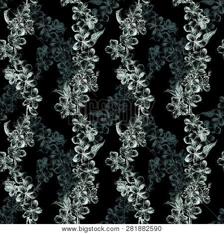 Hand Drawn Charcoal Pencil Illustration Flowers Of The Green And Gray Pulm Blossoms And Translucent 