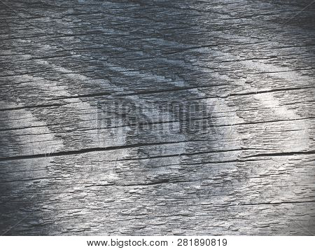 Closeup Of Wooden Texture. Horizontal Photo Of Wooden Texture