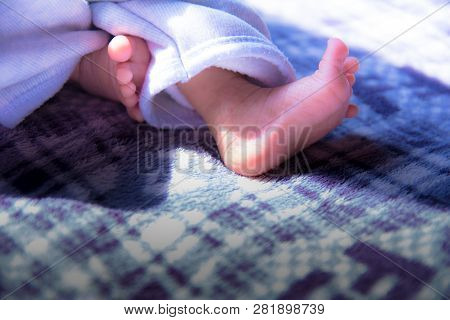 Baby Newborn Baby Legs Foot. Little Newly Born