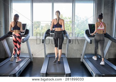 Back View Of Group Of Young People Running On Treadmills In Sport Gym . Three Fitness Woman Runner O