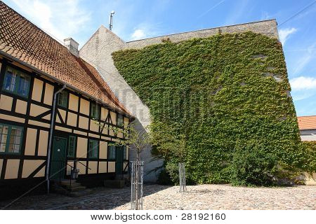 Wand des Hauses mit bedeckt mit Efeu