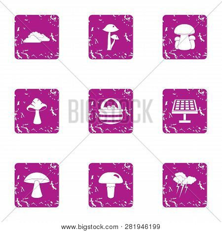 Solar Absorption Icons Set. Grunge Set Of 9 Solar Absorption Icons For Web Isolated On White Backgro