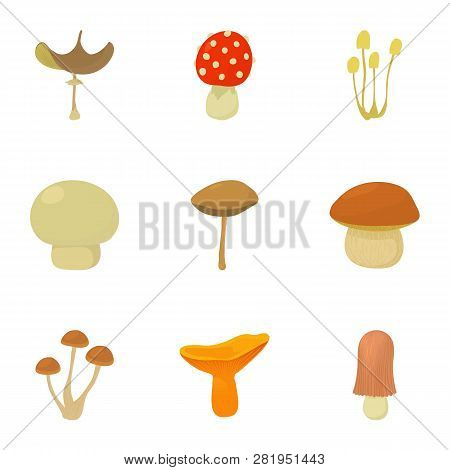 Shelf Fungus Icons Set. Cartoon Set Of 9 Shelf Fungus Icons For Web Isolated On White Background
