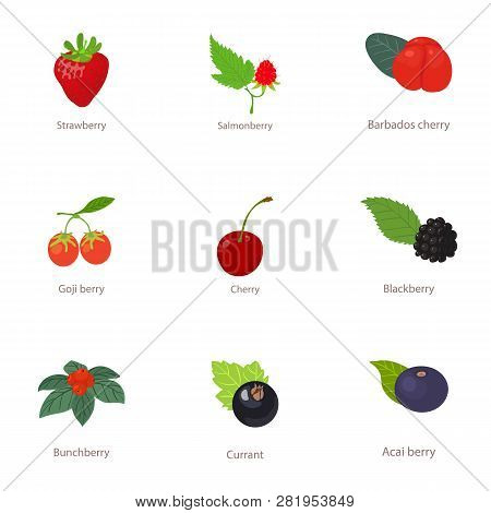 Forest Berry Icons Set. Cartoon Set Of 9 Forest Berry Icons For Web Isolated On White Background