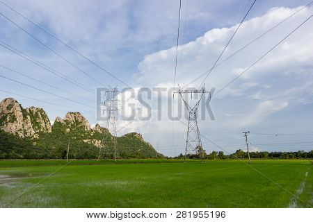 High Voltage Transmission Towers - Located In The Middle Of Green Rice Fields