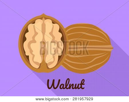 Walnut Icon. Flat Illustration Of Walnut Vector Icon For Web Design