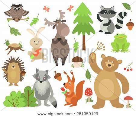 Cartoon Forest Animals. Elk Owl Hare Raccoon Squirrel Bear Hedgehog Frog. Woodland Animal Vector Iso