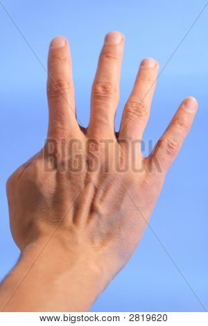 4 本の指