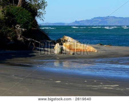 Blacksand Beach