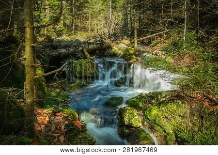 Stream In Forest Nature. Green Forest Stream. Nature. Stream. Natural Environment. Forest Nature. Br