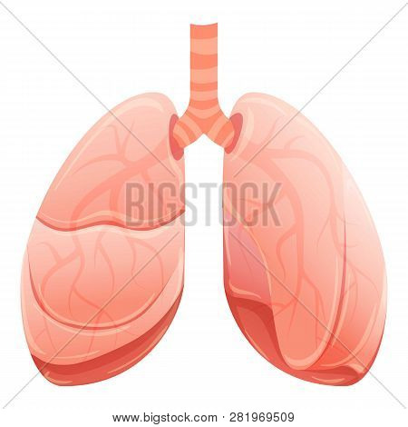 Healthy Lungs Icon. Cartoon Of Healthy Lungs Vector Icon For Web Design Isolated On White Background