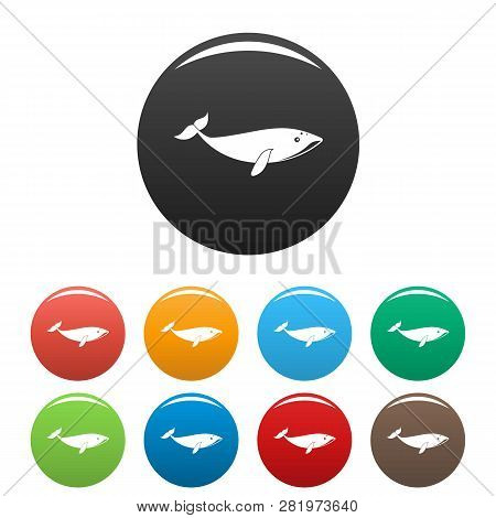Small Whale Icons Set 9 Color Vector Isolated On White For Any Design