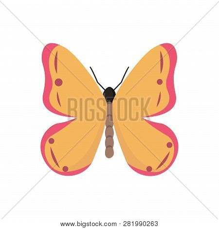 Butterfly On White Background For Graphic And Web Design, Modern Simple Vector Sign. Internet Concep