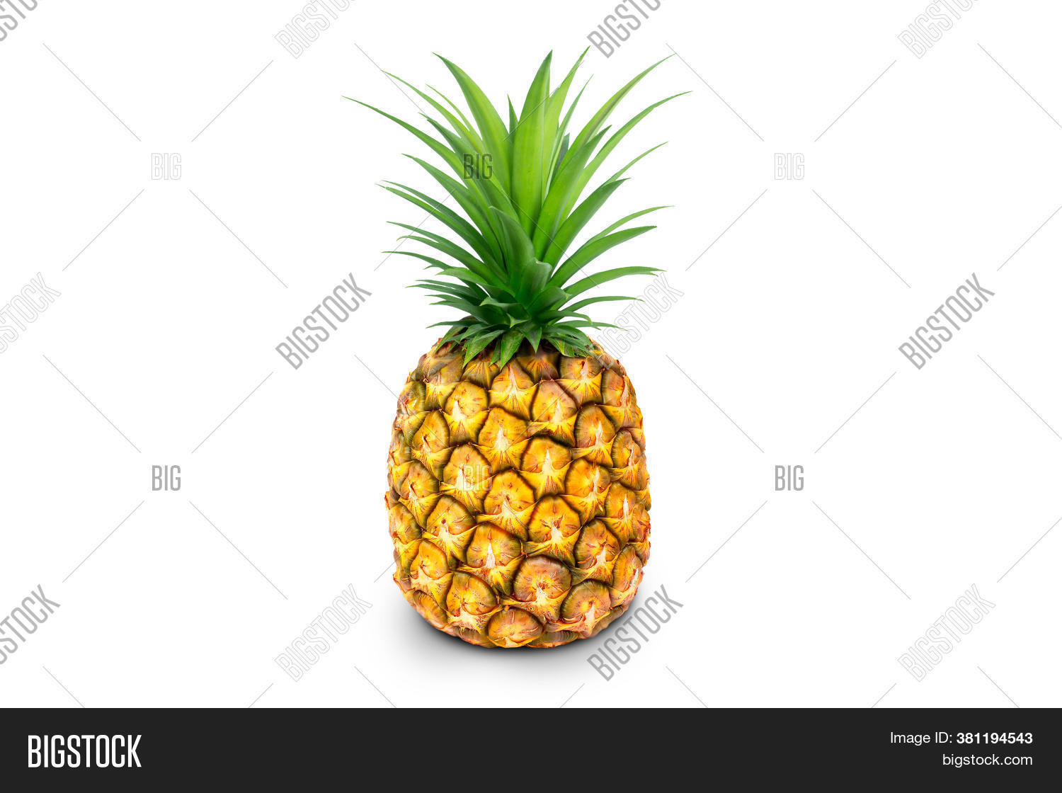 Single Whole Pineapple Image & Photo (Free Trial) Bigstock