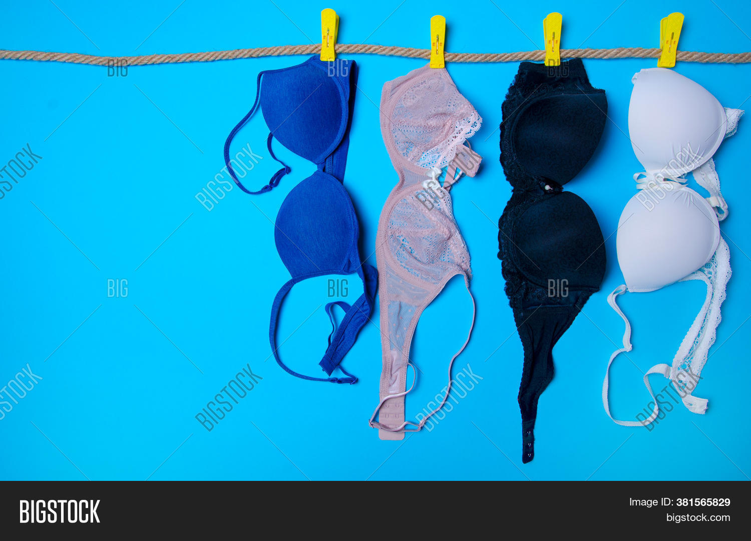 Woman Bra On Rope Image & Photo (Free Trial) | Bigstock